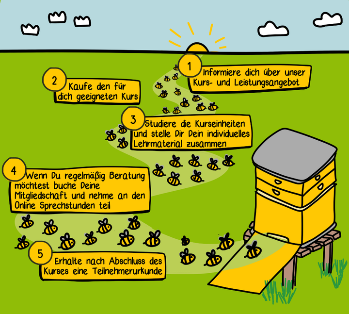Livekurs am Bienenvolk für Anfänger (ergänzend zum Basiskurs)