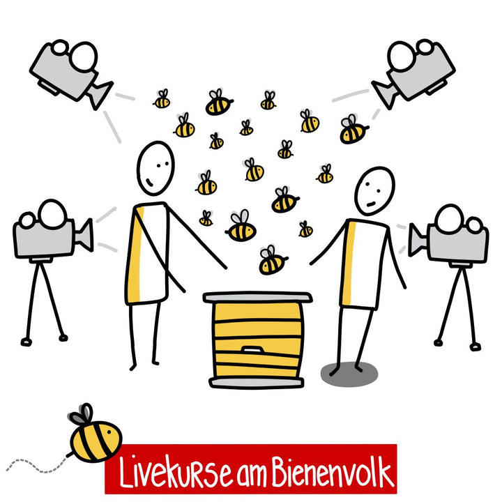 Livekurs am Bienenvolk für Anfänger (ergänzend zum Basiskurs)