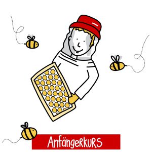 Bienenhaltung für Anfänger: Unser Online-Kurs für Hobby-Imker