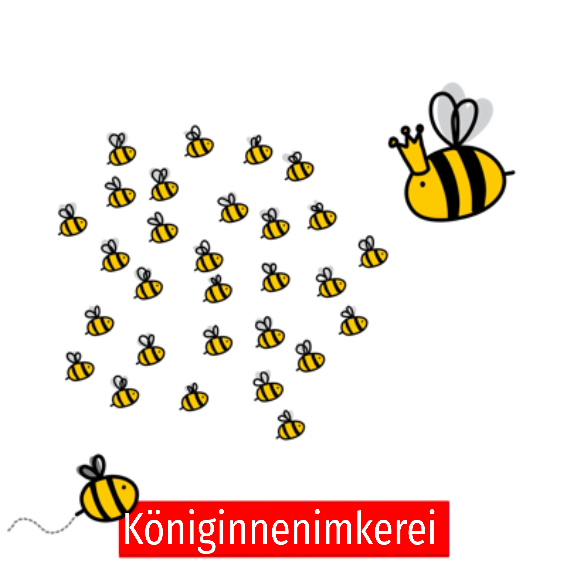 Königinnenimkerei für den Wirtschaftsbetrieb